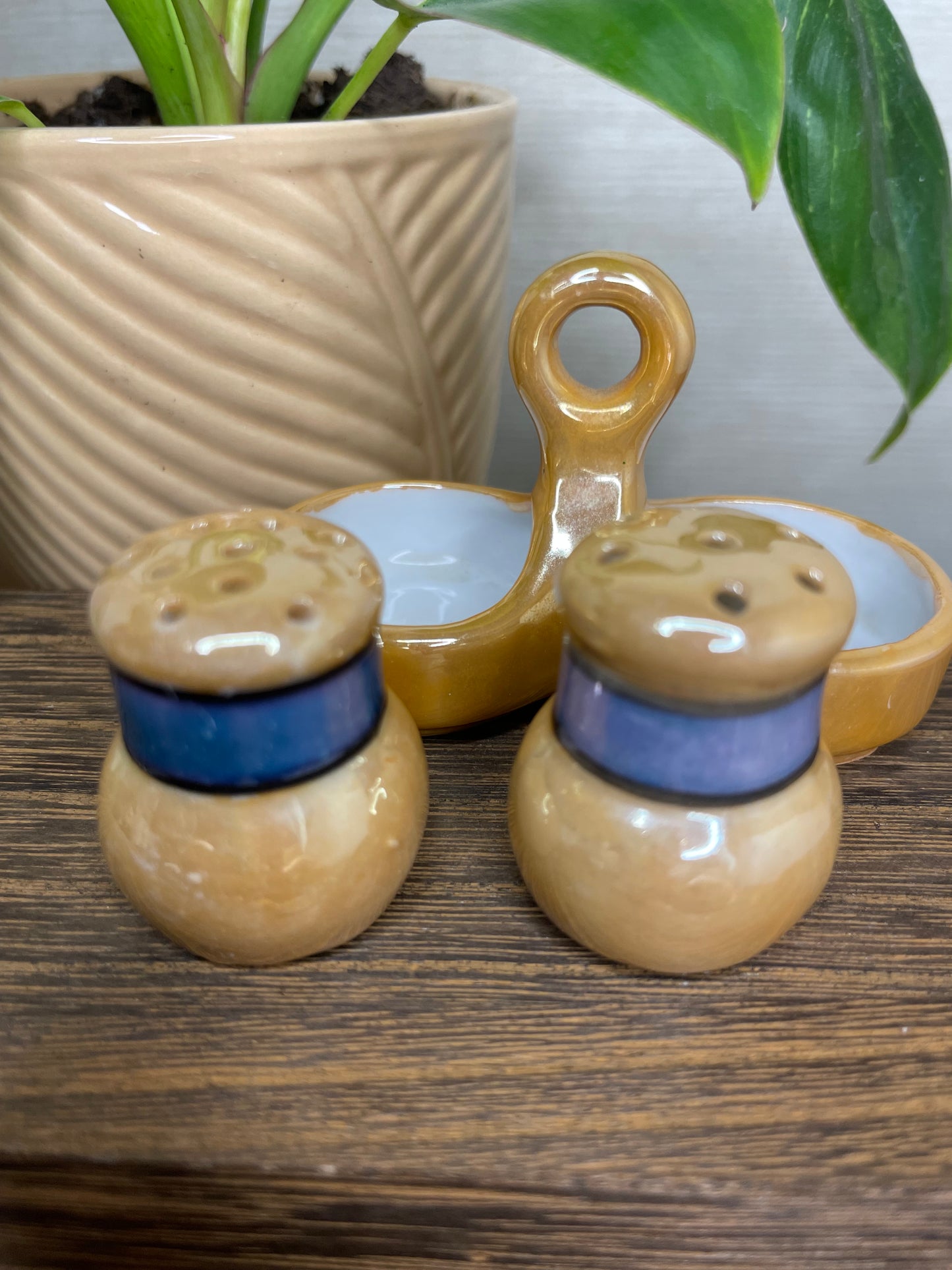 Vintage 1950’s Lusterware Salt & Pepper Set with Holder