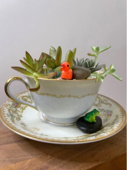 Succulent’s in a Teacup 10/8 Other Half Brewing Bloomfield Class
