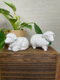 Vintage Porcelain Sheep Salt & Pepper Shakers
